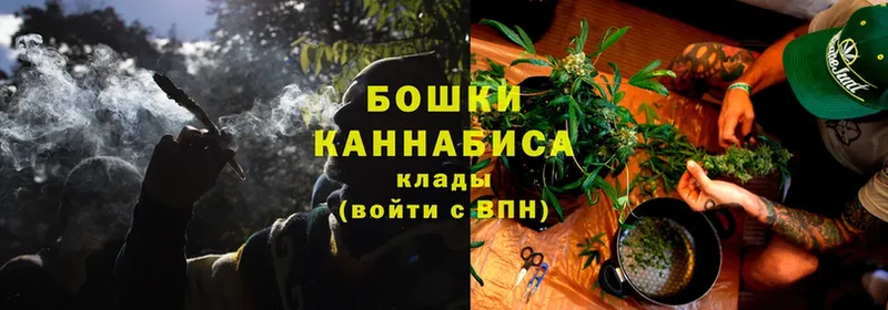 Конопля White Widow  магазин  наркотиков  Боровск 